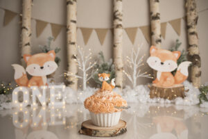 vosjes winterbos cakesmash