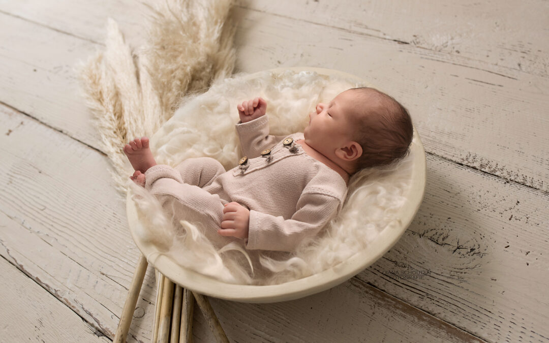 Newborn